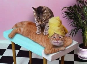 Se faire masser pour son enterrement de vie de célibat...