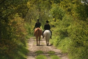 Un enterrement de vie de célibataire tout en nature: la balade à cheval