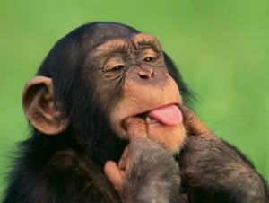 Vendre des photos avec des grimaces : un défi pour les mariés