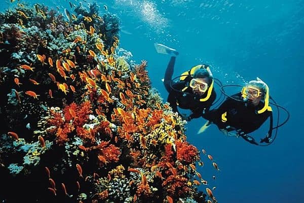 Plongée sous-marine, se vider l'esprit avant le mariage